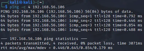 Windows Server Ping